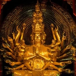 День 7. Van Long — Bai Dinh — Ханой