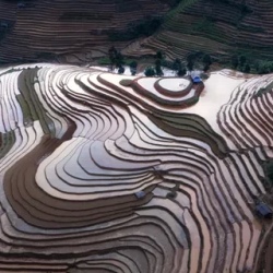 День 9. Сапа — Mu Cang Chai