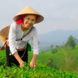 День 11. Mu Cang Chai — Ханой