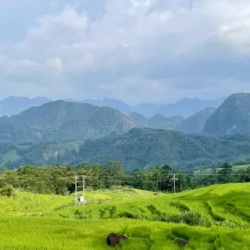 День 1. Хошимин Ct Tin National Park