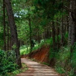 День 1. Хошимин Ct Tin National Park