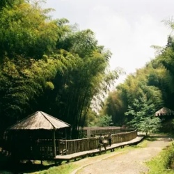 День 1. Хошимин Ct Tin National Park