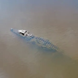 День 2. Трек к озеру Bu Su (Crocodile Lake)