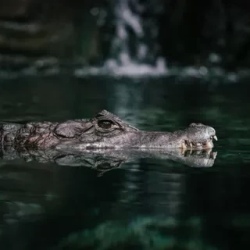День 2. Трек к озеру Bu Su (Crocodile Lake)