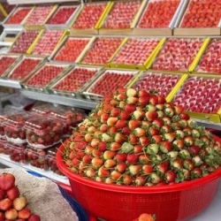 День 4. Переезд в Далат
