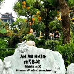 День 7. Парк развлечений Ba Na Hills + переезд в Хюэ