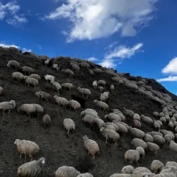 День 5. Вардзия, Тмогви, каньон Дашбаши и другие местечки