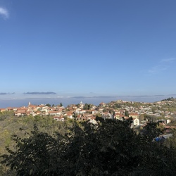 День 3. Винная Кахетия