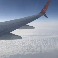 День 8. Возвращение Домой