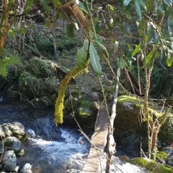 День 11. Возвращение в Тбилиси