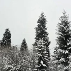 День 5. Мцхета