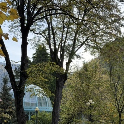 День 5. Свободный день
