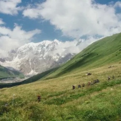 День 7. Ипрали