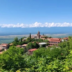 День 5. Сигнахи, трансфер в аэропорт