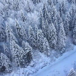 День 3. 30 декабря