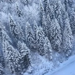 День 3. 30 декабря