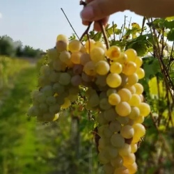 День 2. Кахетиа