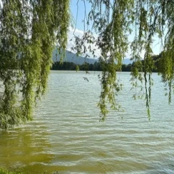 День 2. Кахетиа