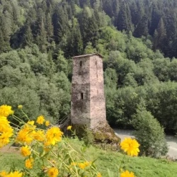 День 6. 5-6 день