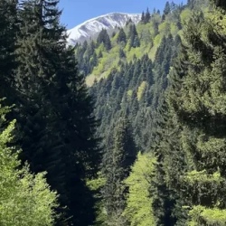 День 2. Грузинская Швейцария