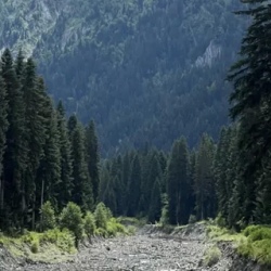 День 2. Грузинская Швейцария