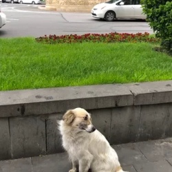 День 8. Нахвамдис, Сакартвело!