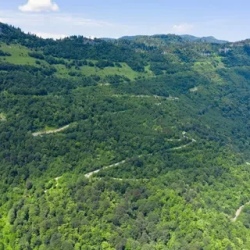 День 4. Регион Рача