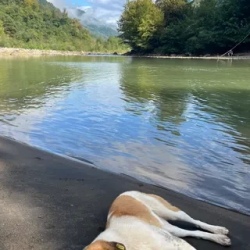 День 4. Горные водопады и батумские сказки