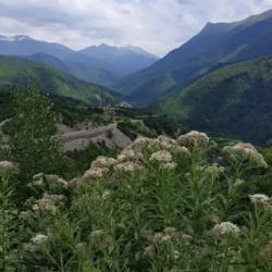 День 4. Прощание с горами и вечер у винодела