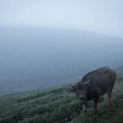День 5. Лай Чау