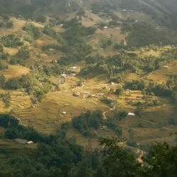 День 7. Сапа