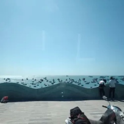 День 5. Отдых на море
