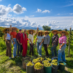 День 5. Настоящий праздник урожая в грузинской семье