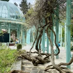 День 6. Мцхета, курортный Боржоми и 5* Ахалцихе