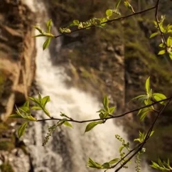День 1. Прогулка к водопаду