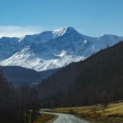 День 1. Переезд г.Барнаул — с.Курай