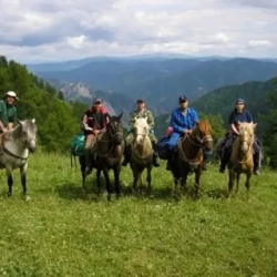 День 6. Каменные грибы