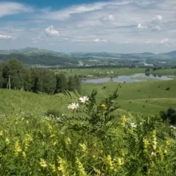 День 3. Этноаил, моторафтинг по Катуни