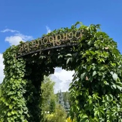День 5. Горная Белокуриха