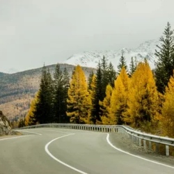День 6. Посмотрели Алтай, теперь везем домой фотки!