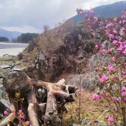 День 4. Ещё денёк в горах Алтая