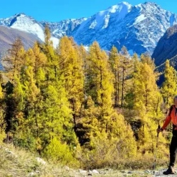 День 7. Спуск в долину реки Чуя