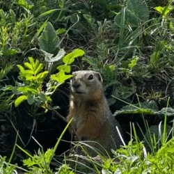 День 3. Чуйский тракт