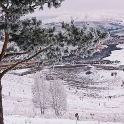 День 4. Красоты Чемала
