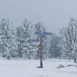 День 5. Чуйский тракт