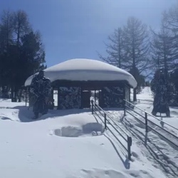 День 6. Весёлые Хаски