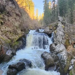 День 8. Вдоль по Телецкому озеру
