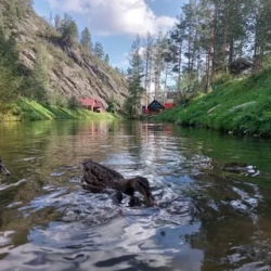 День 2. Красоты Алтая
