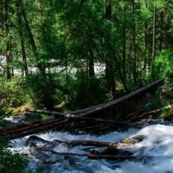 День 2. Начало похода. Заброска. Ночевка в палатках