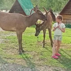День 3.